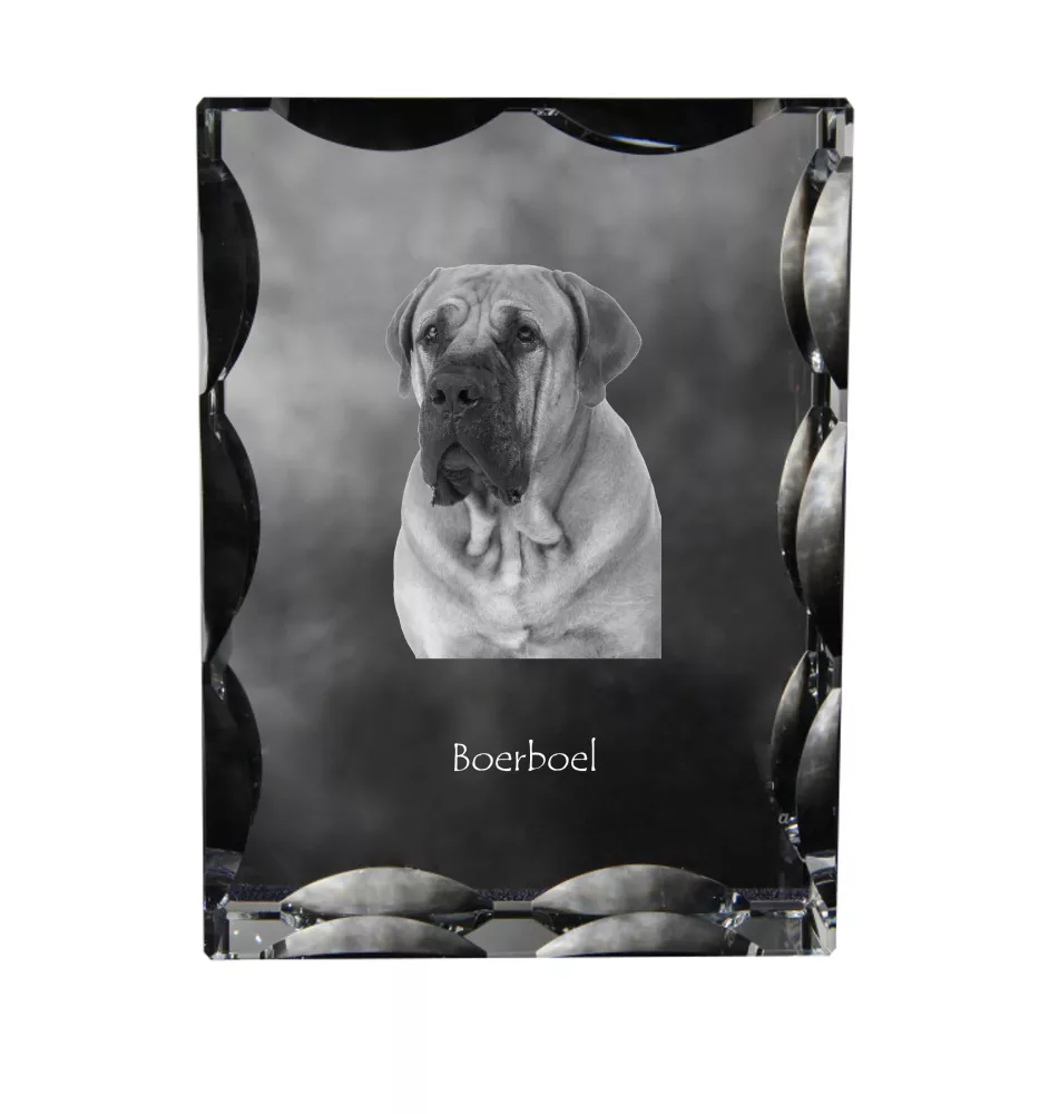 Boerboel - cristal avec photo de chien, statuette en verre avec photo, cadre exceptionnel avec photo de la marque Art-Dog