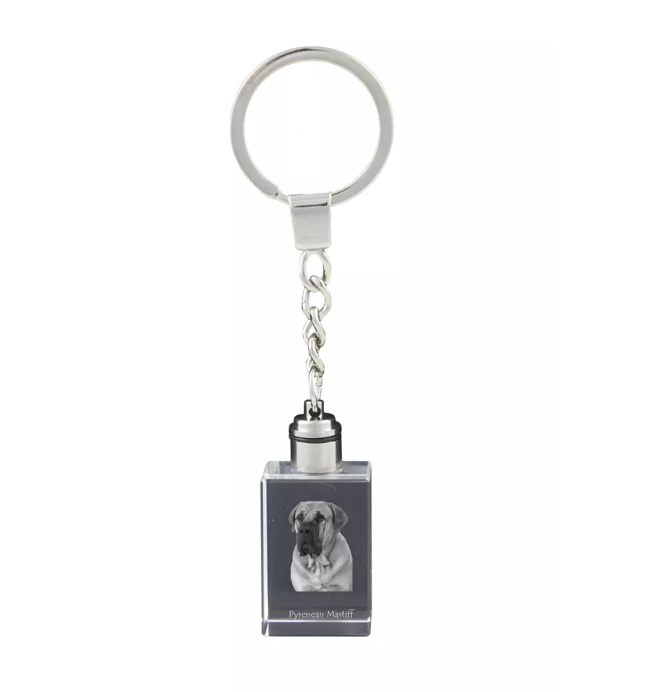 Boerboel - Porte-clés en cristal avec photo de chien, porte-clés lumineux, cadeau unique de la marque Art-Dog