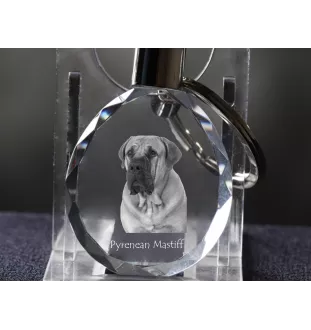 Boerboel - pendentif avec une photo de chien, porte-clés en cristal dans une boîte cadeau, un cadeau unique par Art-Dog