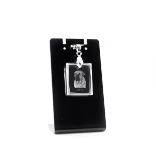 Boerboel - Pendentif chien en cristal, collier photo, bijoux uniques par Art-Dog