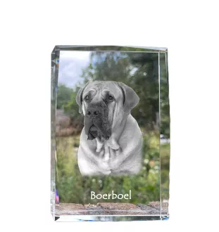 Boerboel - Kristall mit einem Hundebild, Bild im Glas, moderne Ausstellung des Art-Dog-Bildes.