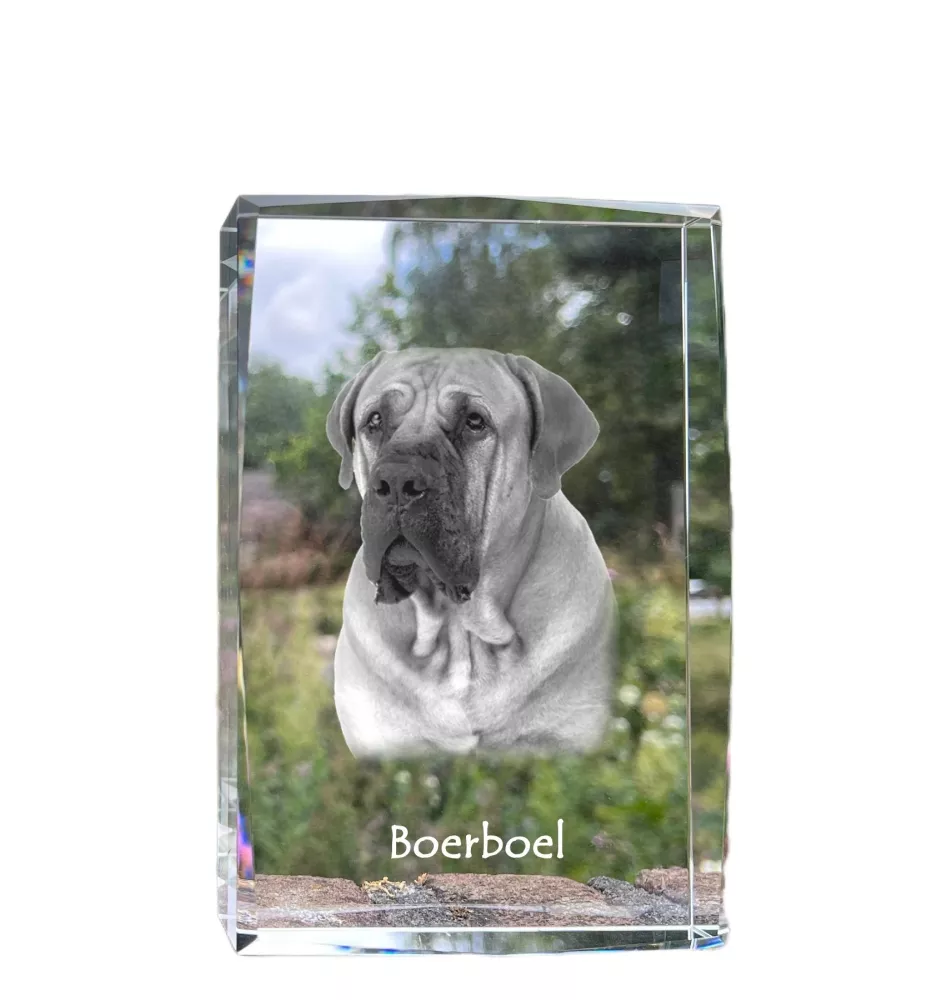 Boerboel kryształ z psem Art-Dog
