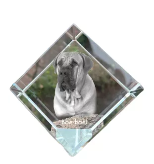 Boerboel - Kristallwürfel mit Bild, Pferdebild im Kristall, sechseckiger Papierclip der Marke Art-Dog