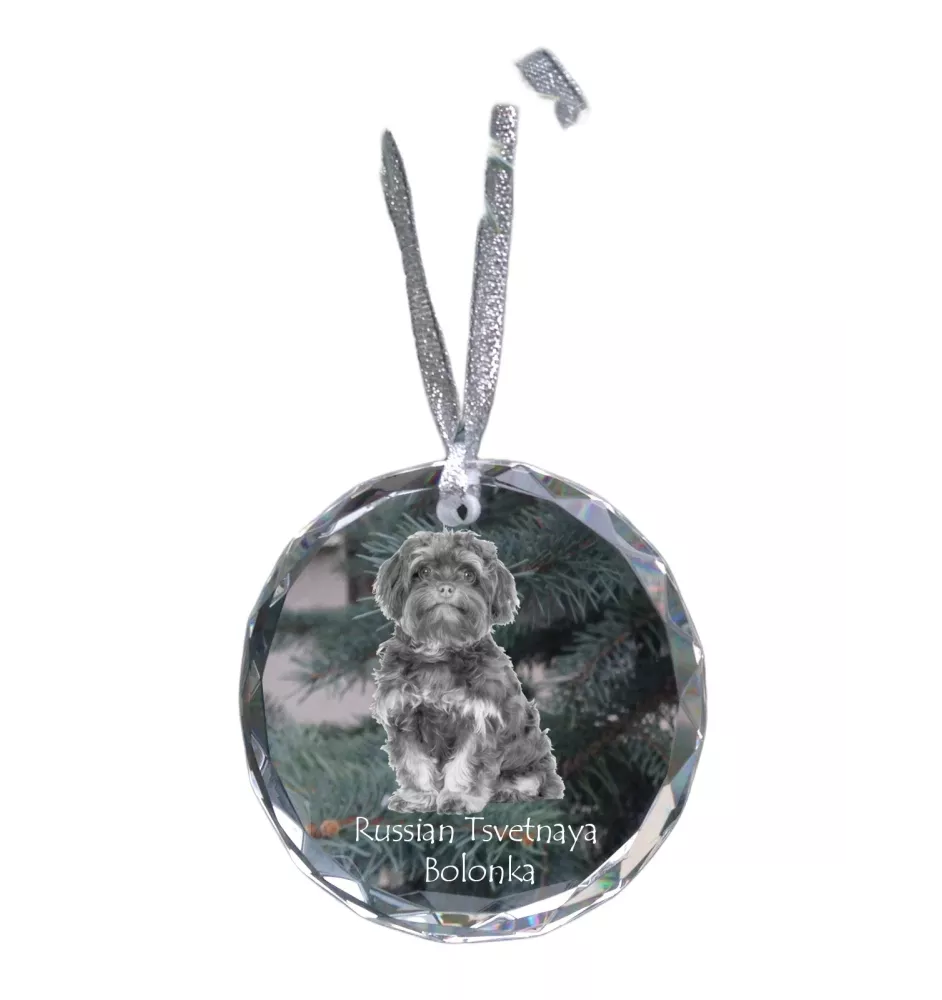 Bolonka, Russian Tsvetnaya Bolonka - crystal bauble with a photo, dog photo in crystal, personalized Christmas tree ornament by Art-Dog brand