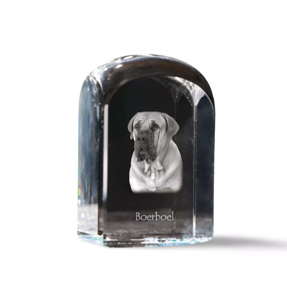 Boerboel, South African Mastiff - crystal cube with a photo, photo of a dog in crystal, cubic paperweight from Art-Dog brand