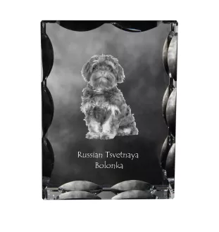 Bolonka, Russian Tsvetnaya Bolonka - crystal with a picture of a dog, glass statuette with a picture, unique frame with a picture from Art-Dog brand