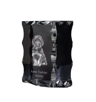 Bolonka, Russian Tsvetnaya Bolonka, Bolonka Zwetna - Kristall mit einem Hundebild, Glasstatuette mit einem Bild, einzigartiger Bilderrahmen der Marke Art-Dog