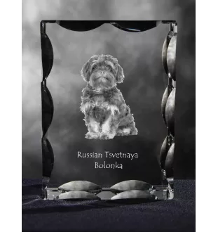 Bolonka, Russian Tsvetnaya Bolonka - crystal with a picture of a dog, glass statuette with a picture, unique frame with a picture from Art-Dog brand