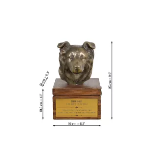 Border Collie - urn for dog ashes with a statuette, small urn for a dog, personalized urn with a bust of a dog by Art-Dog brand