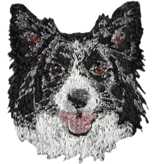 Border Collie pies haftowany Art-Dog