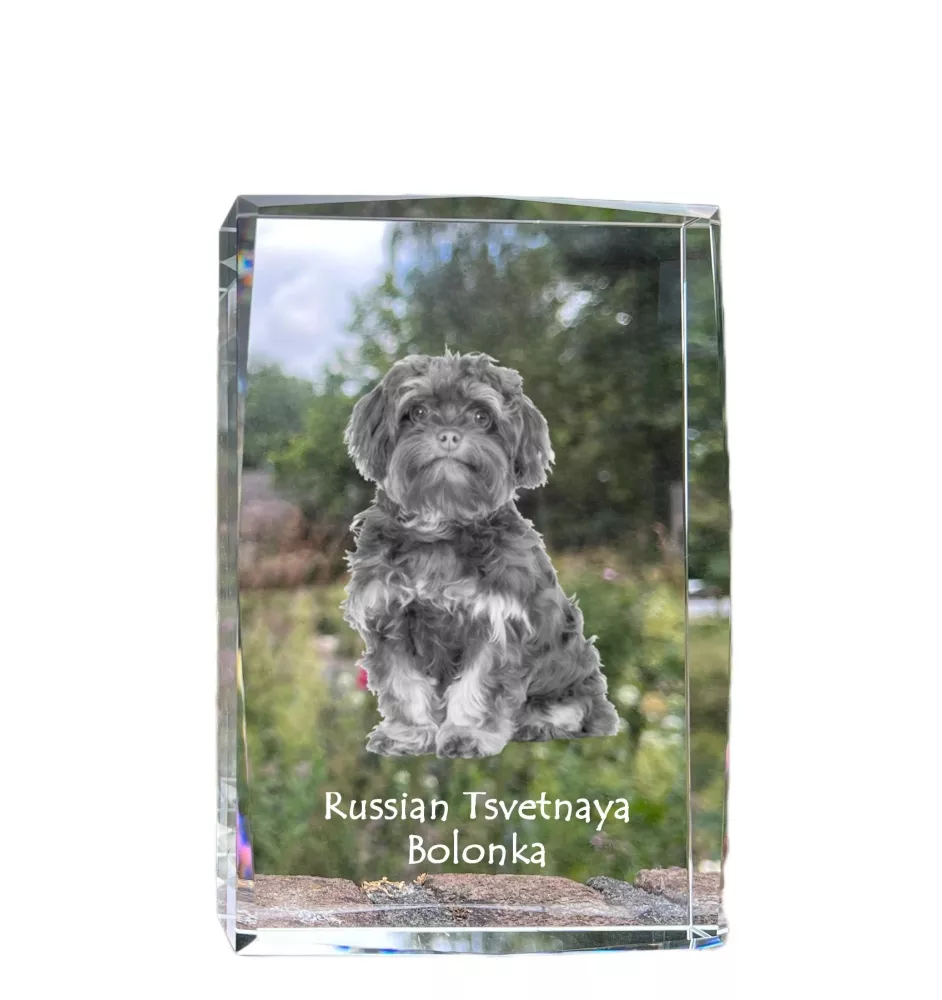 Bolonka - cristal avec une photo de chien, photo sous verre, exposition moderne de la marque de photos Art-Dog