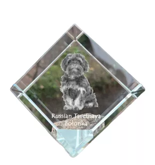 Bolonka, Russian Tsvetnaya Bolonka, Bolonka Zwetna - Kristallwürfel mit Bild, Pferdebild im Kristall, sechseckiger Papierclip der Marke Art-Dog