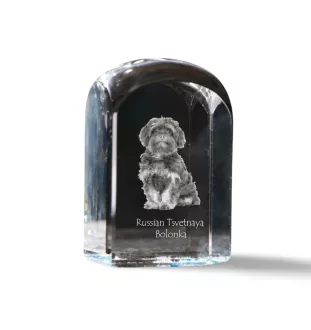 Bolonka, Russian Tsvetnaya Bolonka, Bolonka Zwetna - Kristallwürfel mit Bild, Hundebild im Kristall, sechseckiger Papierclip von Art-Dog.