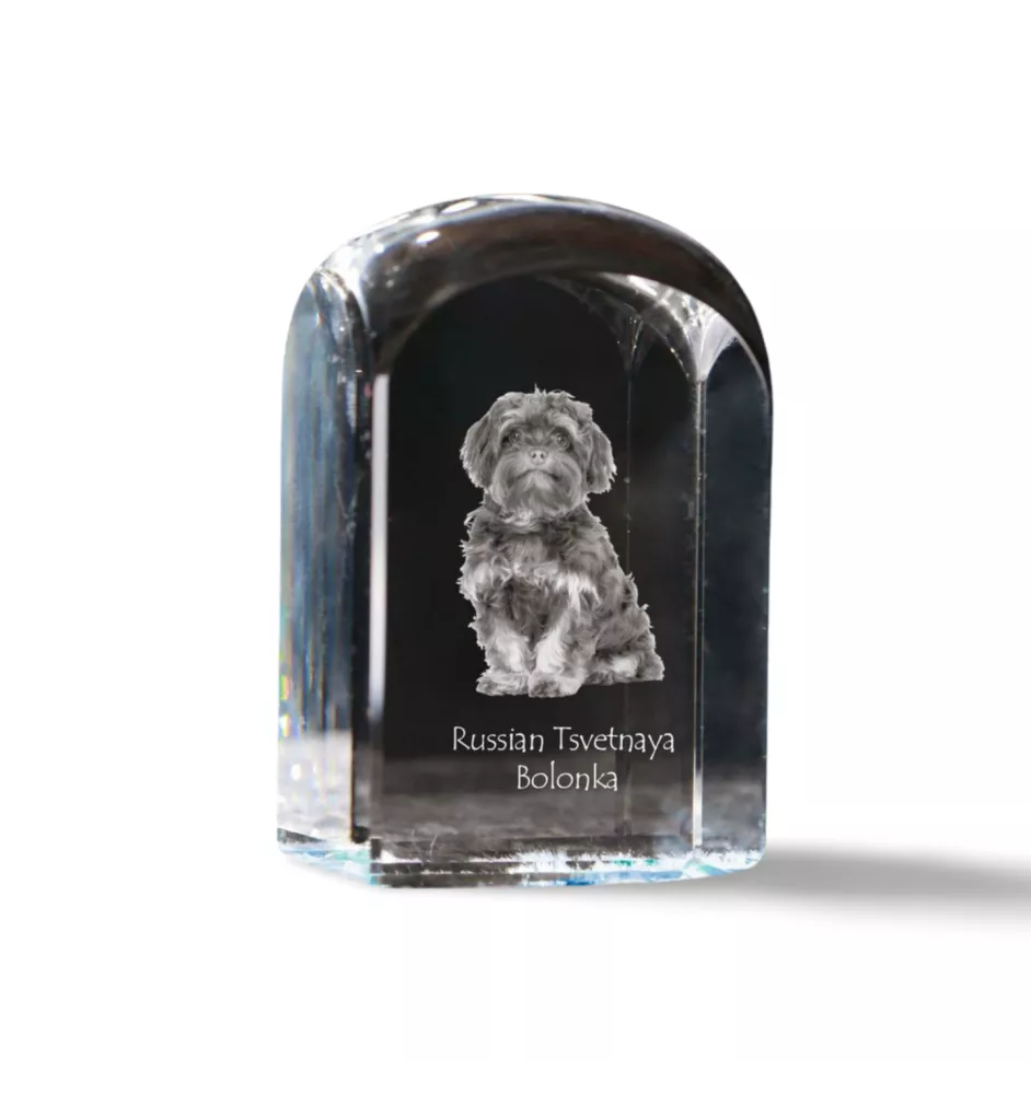 Bolonka, Russian Tsvetnaya Bolonka, Bolonka Zwetna - Kristallwürfel mit Bild, Hundebild im Kristall, sechseckiger Papierclip von Art-Dog.