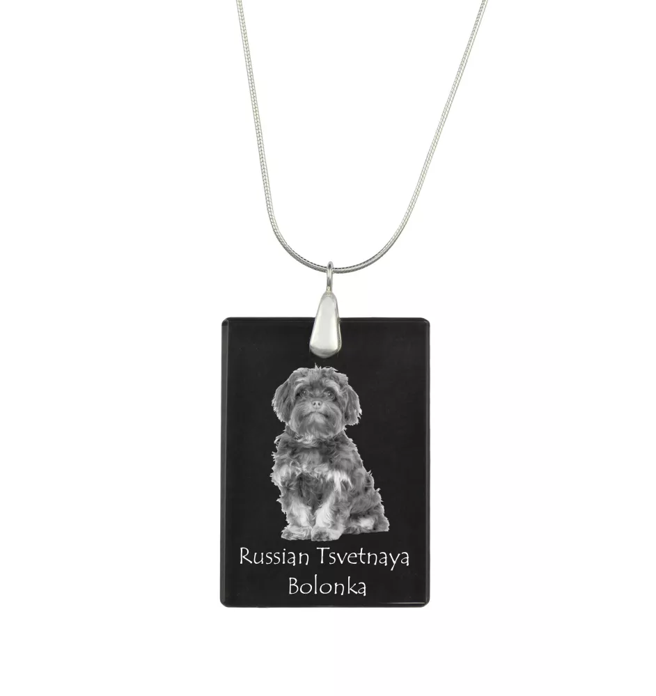 Bolonka, Russian Tsvetnaya Bolonka - Crystal pendant with dog, silver necklace with photo, personalised pendant by Art-Dog brand