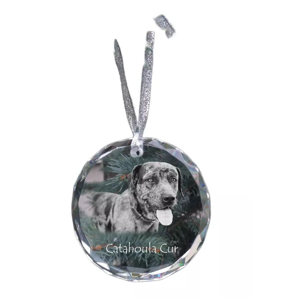 Chien léopard catahoula, Catahoula Leopard Dog - boule de Noël en cristal avec une photo, photo de chien dans le cristal, décoration personnalisée pour sapin de Noël de la marque Art-Dog