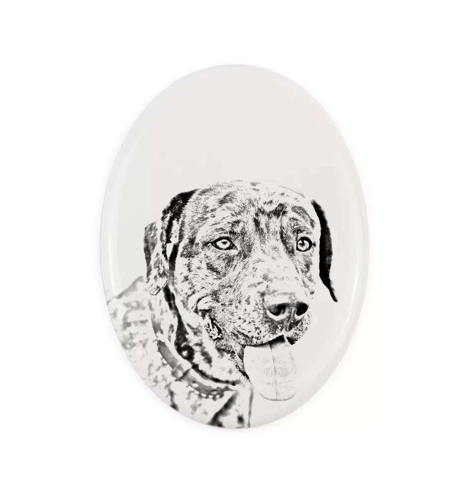 Catahoula Leopard Dog płyta nagrobna ze zdjęciem psa Art-Dog