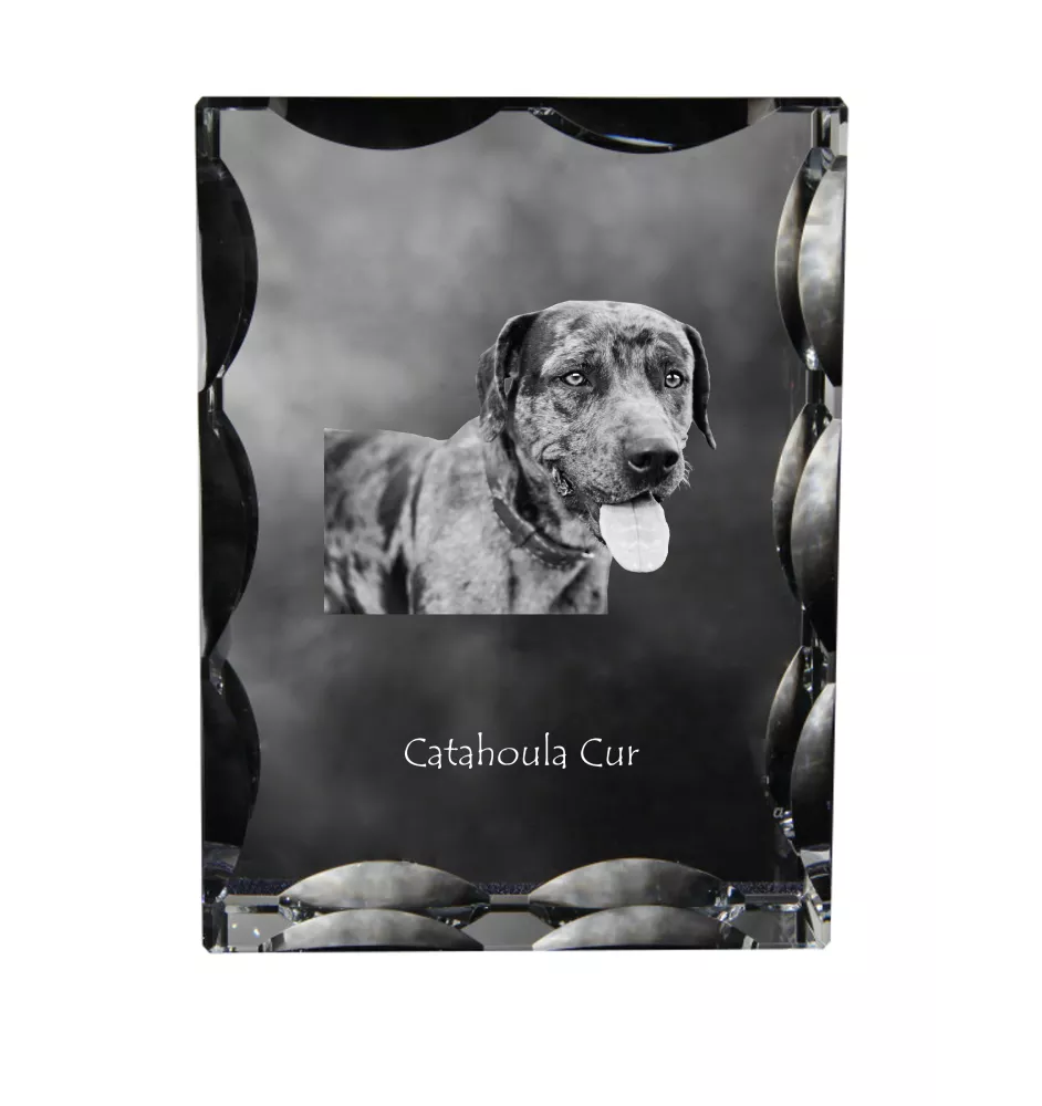 Catahoula Leopard Dog, Catahoula Cur - Kristall mit einem Hundebild, Glasstatuette mit einem Bild, einzigartiger Bilderrahmen der Marke Art-Dog