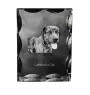 Catahoula Leopard Dog, Catahoula Cur - crystal with a picture of a dog, glass statuette with a picture, unique frame with a picture from Art-Dog brand