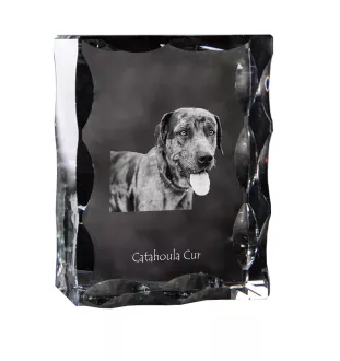 Catahoula Leopard Dog ramka kryształowa z psem Art-Dog