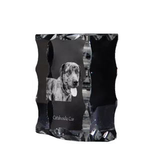 Chien léopard catahoula, Catahoula Leopard Dog - cristal avec photo de chien, statuette en verre avec photo, cadre exceptionnel avec photo de la marque Art-Dog