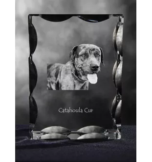 Catahoula Leopard Dog, Catahoula Cur - Kristall mit einem Hundebild, Glasstatuette mit einem Bild, einzigartiger Bilderrahmen der Marke Art-Dog
