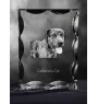 Chien léopard catahoula, Catahoula Leopard Dog - cristal avec photo de chien, statuette en verre avec photo, cadre exceptionnel avec photo de la marque Art-Dog