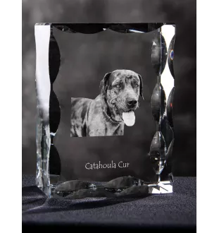 Chien léopard catahoula, Catahoula Leopard Dog - cristal avec photo de chien, statuette en verre avec photo, cadre exceptionnel avec photo de la marque Art-Dog