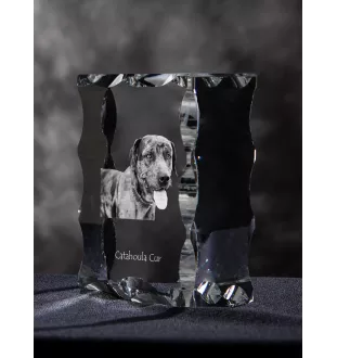 Catahoula Leopard Dog, Catahoula Cur - Kristall mit einem Hundebild, Glasstatuette mit einem Bild, einzigartiger Bilderrahmen der Marke Art-Dog