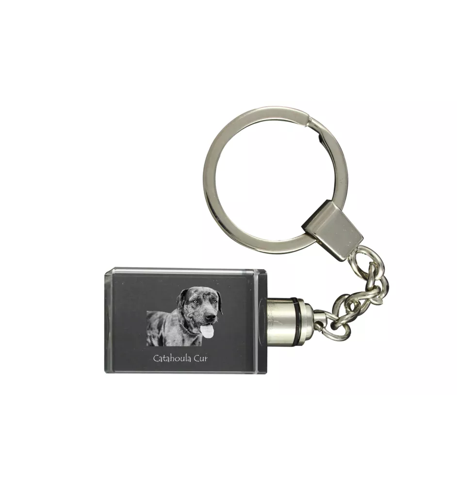 Chien léopard catahoula, Catahoula Leopard Dog - Porte-clés en cristal avec photo de chien, porte-clés lumineux, cadeau unique de la marque Art-Dog