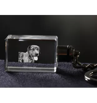 Catahoula Leopard Dog, Catahoula Cur - Schlüsselanhänger aus Kristall mit Hundefoto, beleuchteter Schlüsselanhänger, einzigartiges Geschenk der Marke Art-Dog