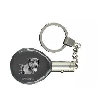 Catahoula Leopard Dog, Catahoula Cur - pendant with a photo of a dog, crystal key ring in a gift box, a unique gift by Art-Dog