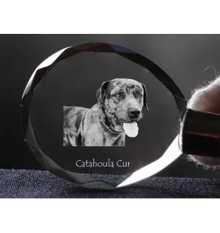 Chien léopard catahoula, Catahoula Leopard Dog - pendentif avec une photo de chien, porte-clés en cristal dans une boîte cadeau, un cadeau unique par Art-Dog