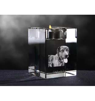 Catahoula Leopard Dog, Catahoula Cur - Candle holder with dog photo, crystal tealight holder, personalised gift by Art-Dog brand