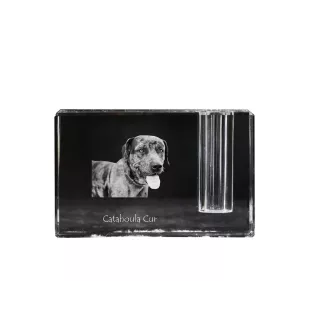 Catahoula Leopard Dog, Catahoula Cur - Stifthalter, Kristallorganizer mit Hundefoto, einzigartige Schreibtischdekoration der Marke Art-Dog