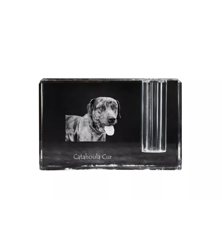 Catahoula Leopard Dog, Catahoula Cur - Stifthalter, Kristallorganizer mit Hundefoto, einzigartige Schreibtischdekoration der Marke Art-Dog