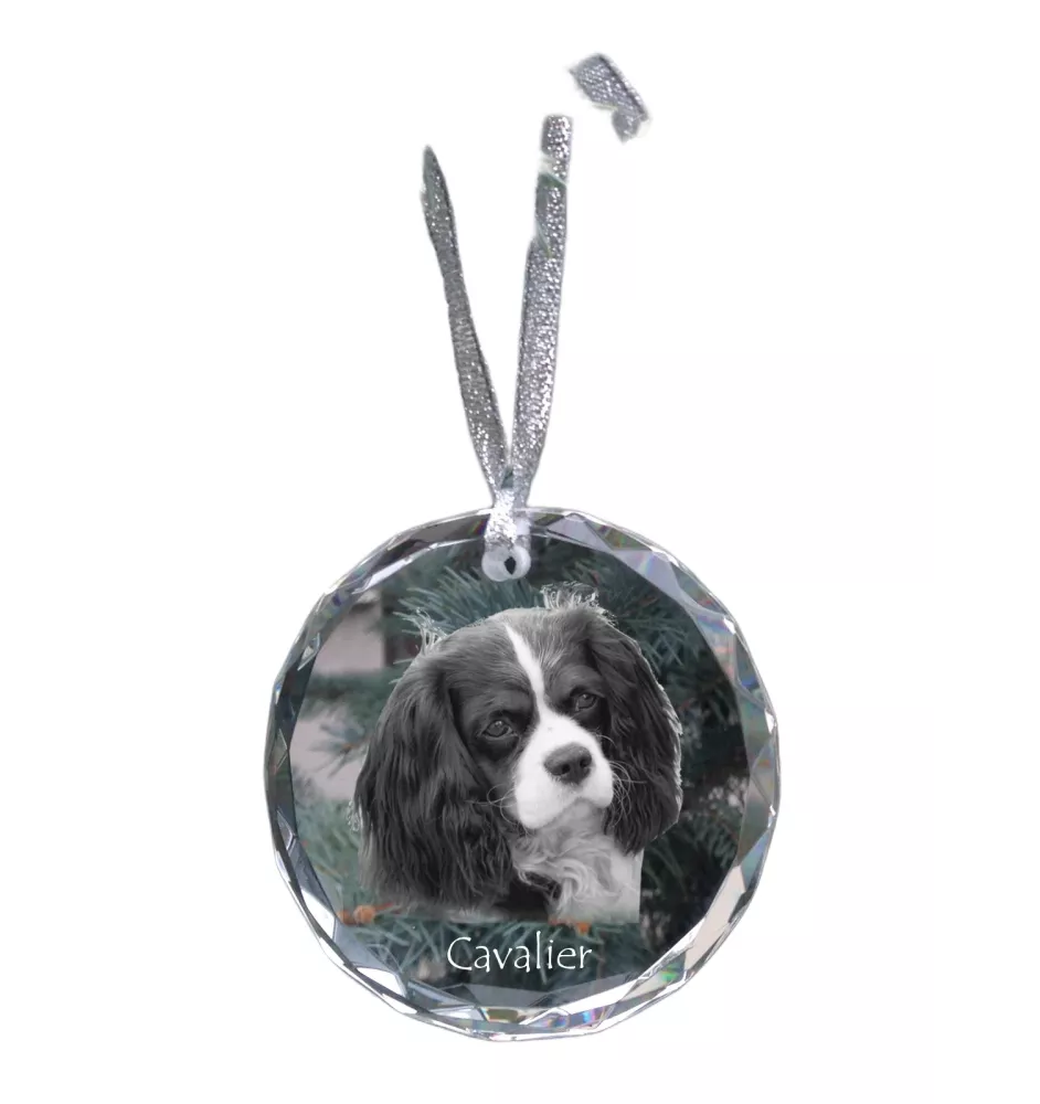 Cavalier King Charles Spaniel - boule de Noël en cristal avec une photo, photo de chien dans le cristal, décoration personnalisée pour sapin de Noël de la marque Art-Dog