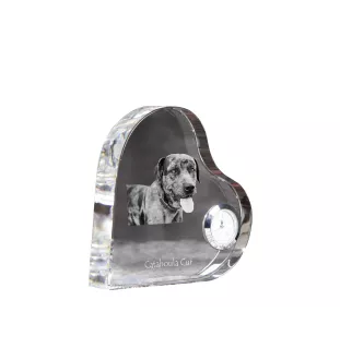 Catahoula Leopard Dog, Catahoula Cur - Kristalluhr mit einem Hundebild, Herzregal-Uhr, personalisierte Standuhr der Marke Art-Dog