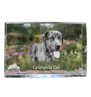 Catahoula Leopard Dog kryształ z psem Art-Dog