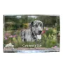 Catahoula Leopard Dog kryształ z psem Art-Dog