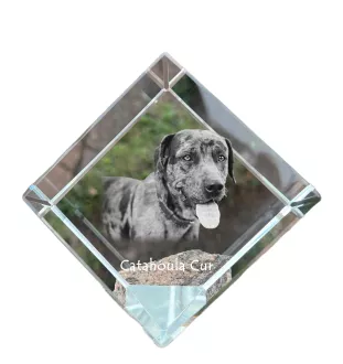 Catahoula Leopard Dog, Catahoula Cur - Kristallwürfel mit Bild, Pferdebild im Kristall, sechseckiger Papierclip der Marke Art-Dog