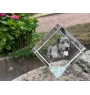 Chien léopard catahoula, Catahoula Leopard Dog - un cube de cristal avec une photo, une photo de cheval dans le cristal, un presse-papiers cubique de la marque Art-Dog