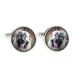 Caucasian Shepherd Dog, Caucasian Ovcharka - cufflinks and tie with your photo, a suit decoration, men's jewelry from the Art-Dog brand.