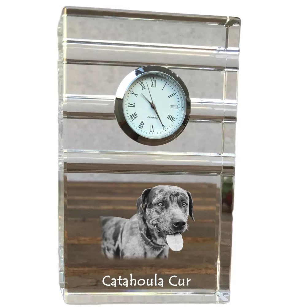 Chien léopard catahoula, Catahoula Leopard Dog - une horloge en verre avec une photo, une photo de chien dans un cristal, une horloge de bureau personnalisée de la marque Art-Dog
