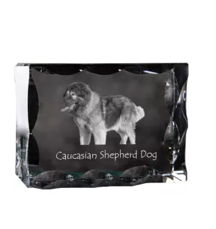 Caucasian Shepherd Dog, Caucasian Ovcharka - crystal with a picture of a dog, glass statuette with a picture, unique frame with a picture from Art-Dog brand