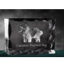 Caucasian Shepherd Dog, Caucasian Ovcharka - crystal with a picture of a dog, glass statuette with a picture, unique frame with a picture from Art-Dog brand