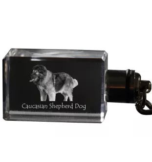 Kaukasischer Schäferhund, Kaukasischer Owtscharka - Schlüsselanhänger aus Kristall mit Hundefoto, beleuchteter Schlüsselanhänger, einzigartiges Geschenk der Marke Art-Dog