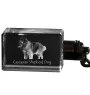 Berger du Caucase - Porte-clés en cristal avec photo de chien, porte-clés lumineux, cadeau unique de la marque Art-Dog