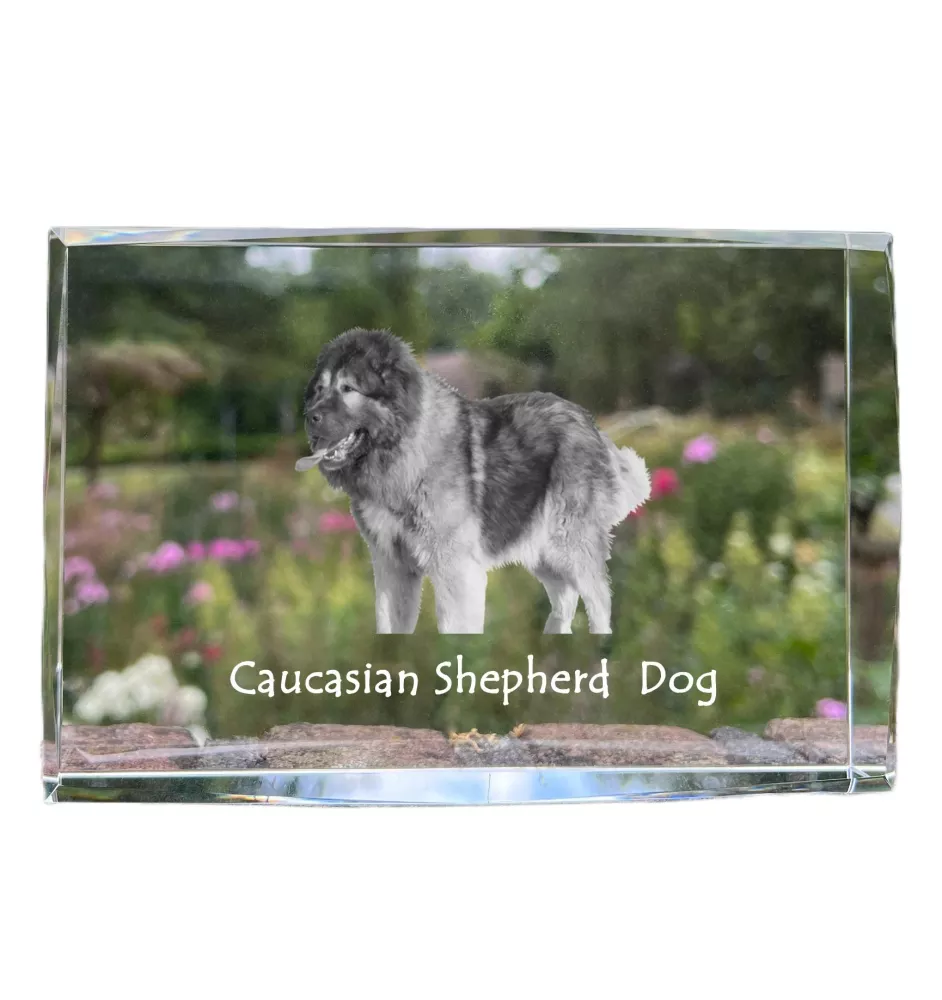 Caucasian Shepherd Dog, Caucasian Ovcharka - crystal with a picture of a dog, photo in glass, modern exhibition of Art-Dog brand photo