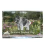 Caucasian Shepherd Dog, Caucasian Ovcharka - crystal with a picture of a dog, photo in glass, modern exhibition of Art-Dog brand photo